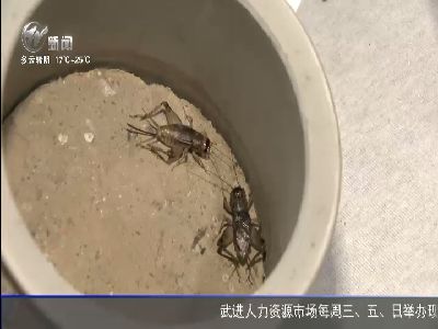 武進新聞