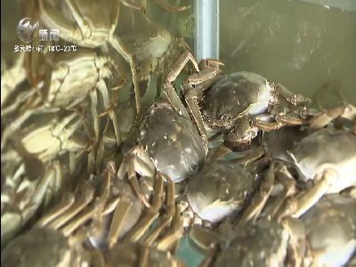 武進(jìn)新聞