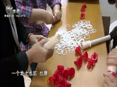 武進新聞