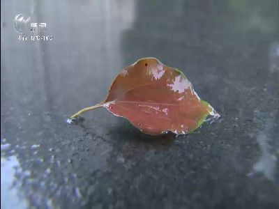 武進(jìn)新聞