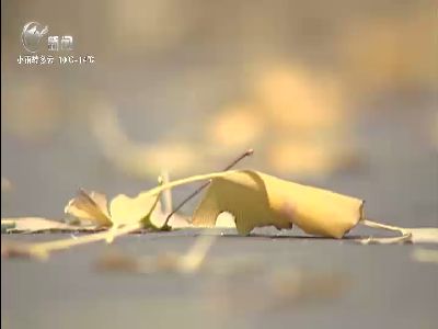 武進(jìn)新聞