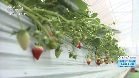 武進(jìn)新聞