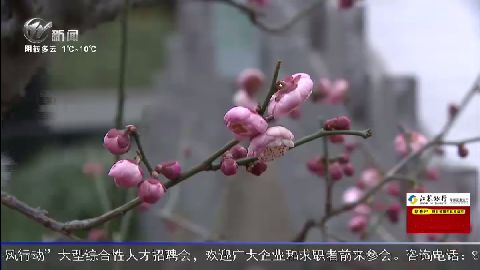 武進(jìn)新聞