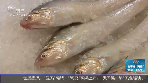 武進(jìn)新聞