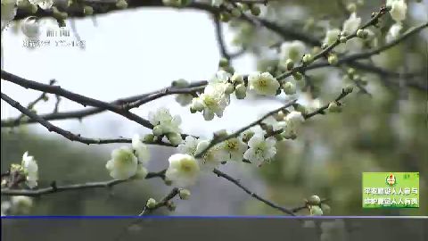 武進(jìn)新聞