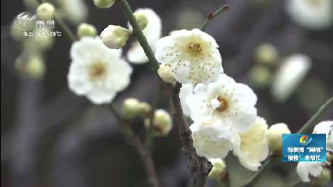 武進新聞