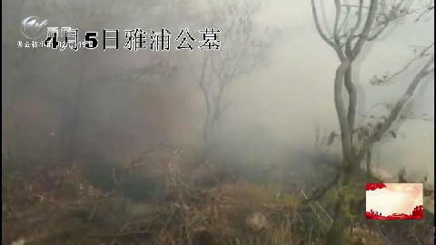 武進(jìn)新聞