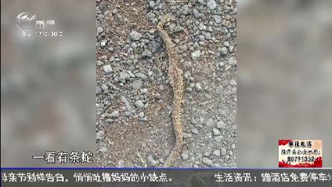 武進(jìn)新聞