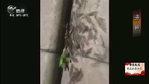 武進(jìn)新聞