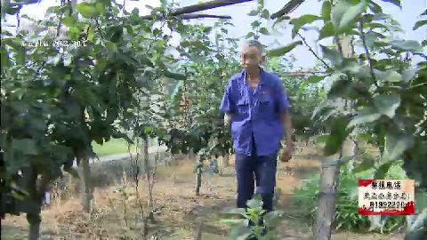 武進新聞