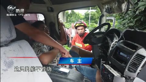 武進新聞