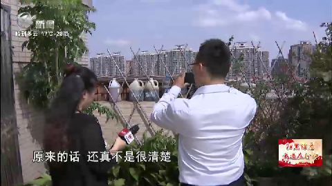 武進新聞