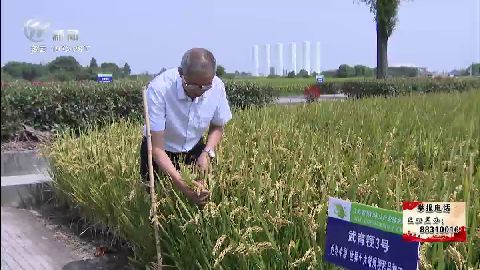 武進新聞