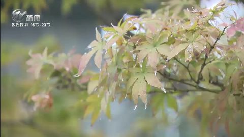 武進(jìn)新聞