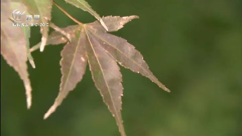 武進(jìn)新聞