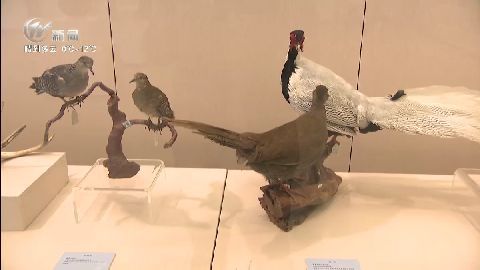 武進(jìn)新聞