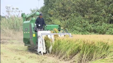 武進(jìn)新聞