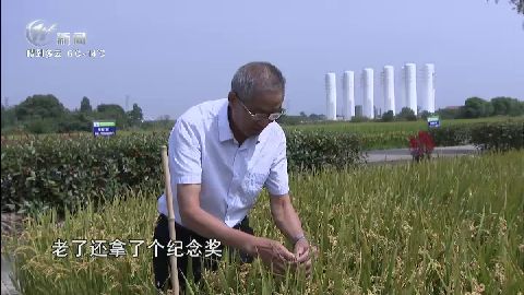 武進新聞