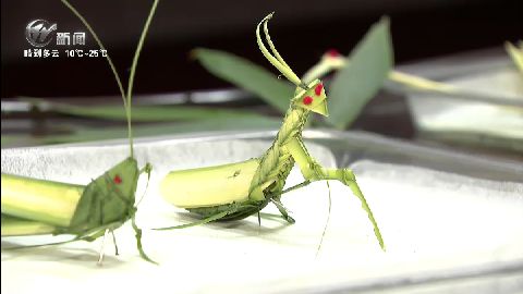 武進新聞