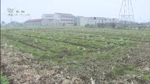 武進(jìn)新聞