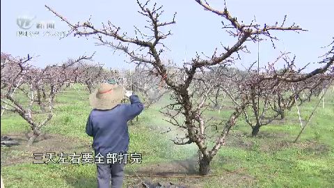 武進(jìn)新聞