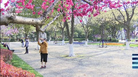 武進(jìn)新聞