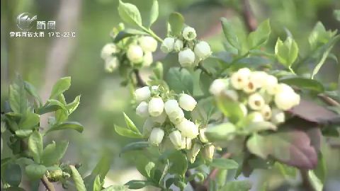 武進(jìn)新聞