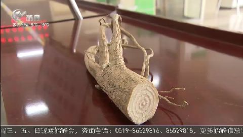武進新聞