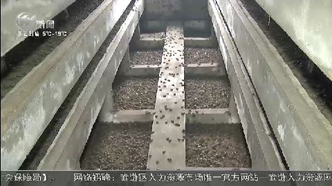 武進新聞