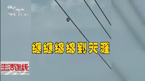 武進(jìn)新聞