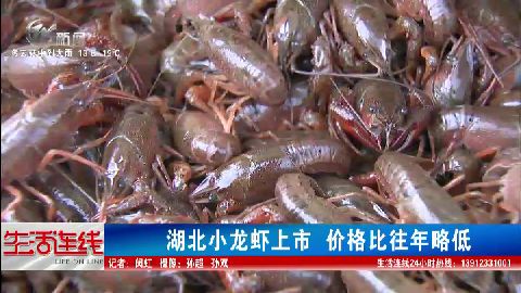 武進(jìn)新聞