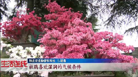 武進(jìn)新聞