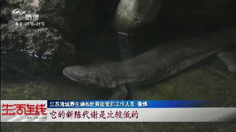 武進(jìn)新聞
