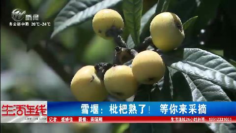 武進(jìn)新聞