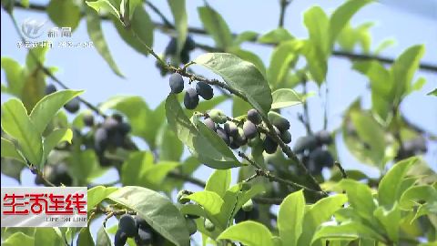 武進(jìn)新聞