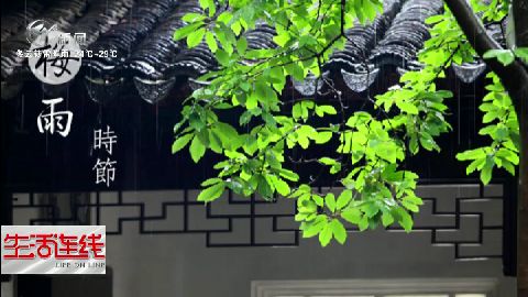 武進(jìn)新聞