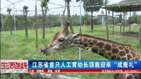 武進(jìn)新聞