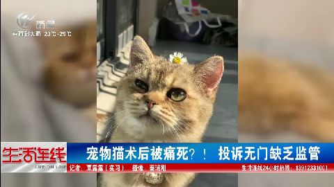 武進(jìn)新聞