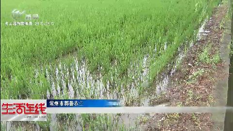 武進新聞