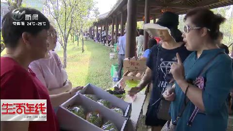 武進新聞