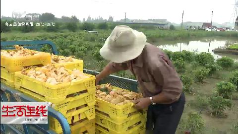 武進新聞