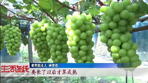 武進(jìn)新聞