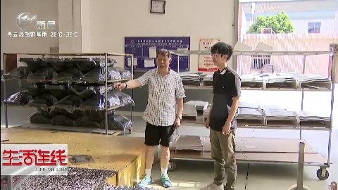 武進(jìn)新聞