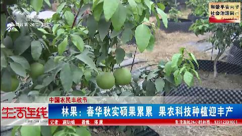 武進新聞