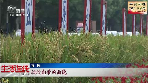 武進新聞