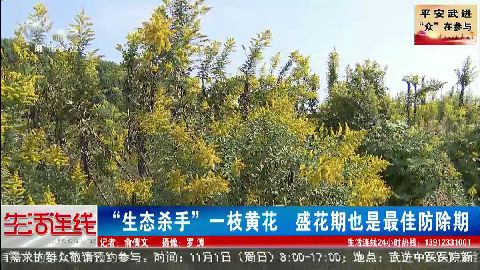 武進(jìn)新聞