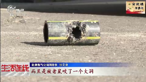 武進(jìn)新聞