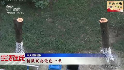 武進新聞