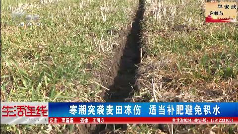 武進新聞