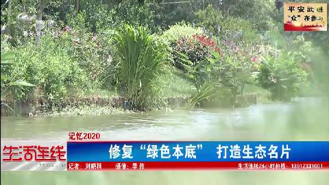 武進新聞